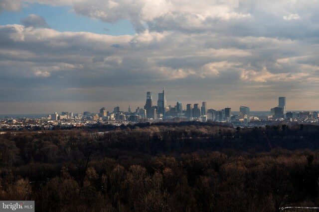 3900 Ford Rd Unit 21E & 20E, Philadelphia, PA 19131 - skyline view
