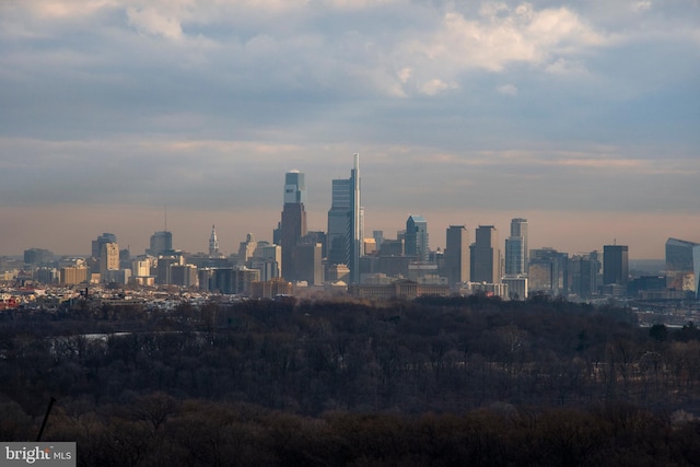 3900 Ford Rd Unit 21E & 20E, Philadelphia, PA 19131 - view of city skyline