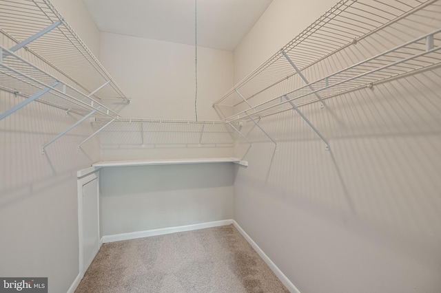 10528 Cross Fox Ln Unit D-2, Columbia, MD 21044 - walk in closet featuring carpet floors