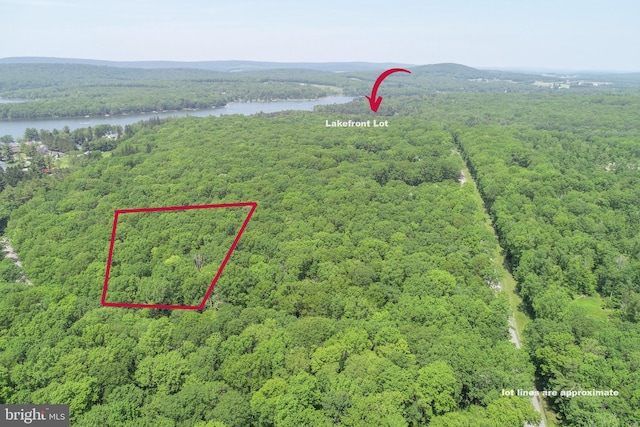 907 Hazelhurst Rd Unit A, Swanton, MD 21561