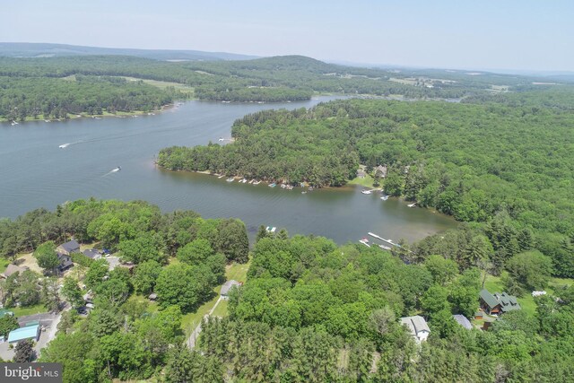 907 Hazelhurst Rd Unit A, Swanton, MD 21561