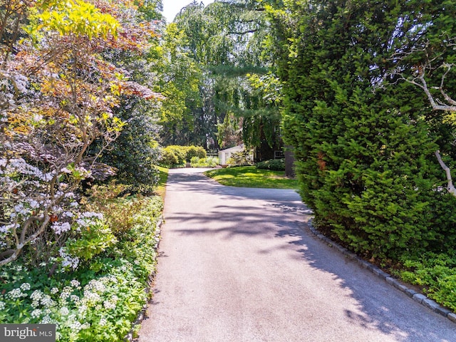 825 Parkes Run Ln, Villanova, PA 19085 - view of street