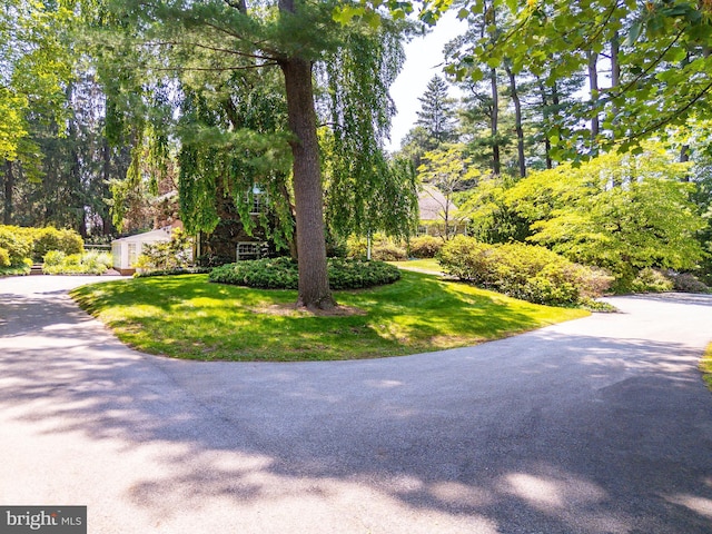 825 Parkes Run Ln, Villanova, PA 19085 - view of front of property with a front lawn