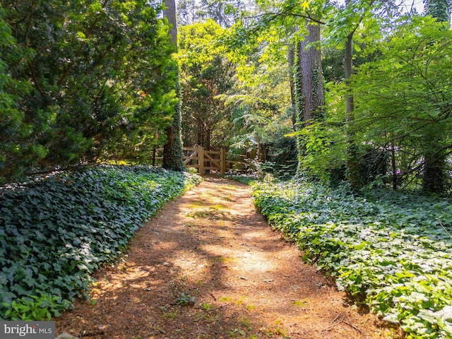 825 Parkes Run Ln, Villanova, PA 19085 - view of yard featuring a forest view