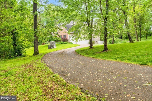 10840 Wolfsville Rd, Myersville, MD 21773 - view of property's community featuring asphalt driveway and a lawn