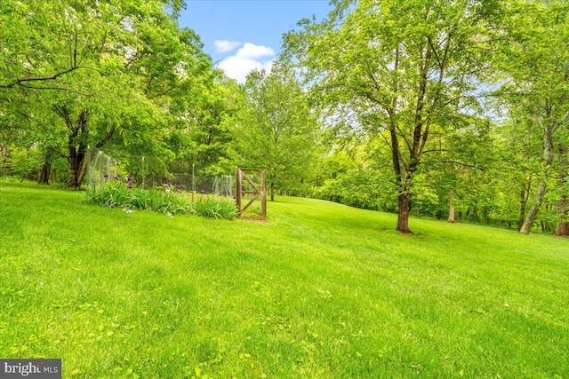 10840 Wolfsville Rd, Myersville, MD 21773 - view of grassy yard
