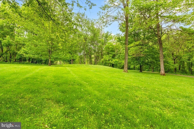 10840 Wolfsville Rd, Myersville, MD 21773 - view of grassy yard