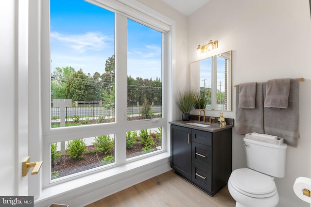 1632 Chain Bridge Rd, Mclean, VA 22101 - bathroom with vanity, plenty of natural light, wood finished floors, and toilet