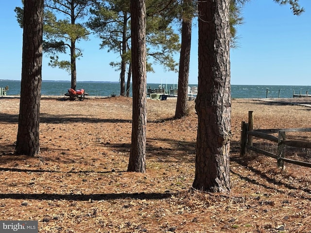 924 Blackbeard Pond Rd, Hague, VA 22469 - water view