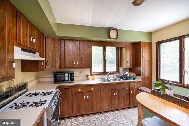 10496 Red Hawk Ln, Huntingdon, PA 16652 - kitchen with white gas range, black microwave, a sink, under cabinet range hood, and light countertops