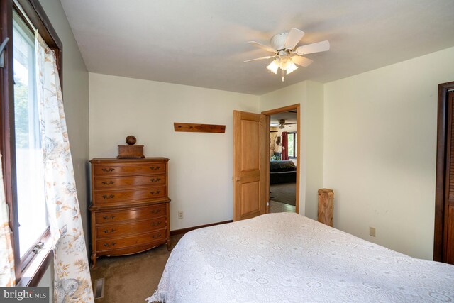 10496 Red Hawk Ln, Huntingdon, PA 16652 - bedroom featuring dark carpet and ceiling fan