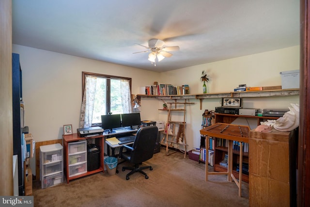 10496 Red Hawk Ln, Huntingdon, PA 16652 - office area with a ceiling fan and carpet floors