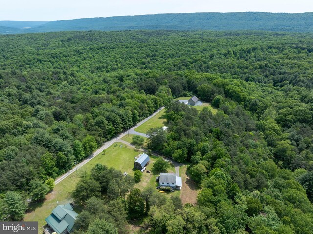 10496 Red Hawk Ln, Huntingdon, PA 16652 - drone / aerial view of a forest