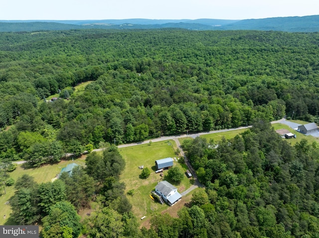 10496 Red Hawk Ln, Huntingdon, PA 16652 - bird's eye view of a heavily wooded area