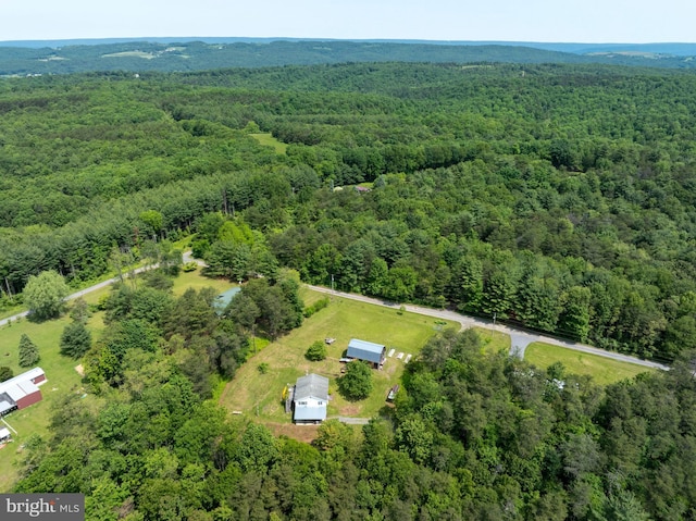 10496 Red Hawk Ln, Huntingdon, PA 16652 - drone / aerial view of a forest