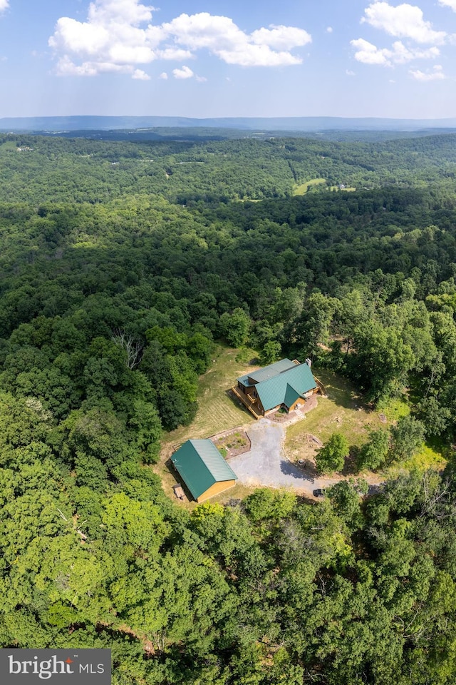 2020 Quaint Acres Ln, Berkeley Springs, WV 25411 - aerial view of a heavily wooded area