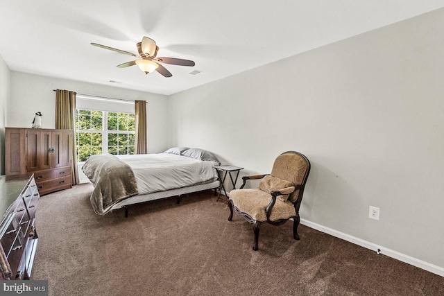 202 Galyn Dr, Brunswick, MD 21758 - carpeted bedroom featuring a ceiling fan and baseboards