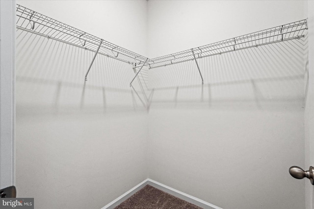 17324 Mary Adams Ave, Bowling Green, VA 22427 - spacious closet with dark carpet