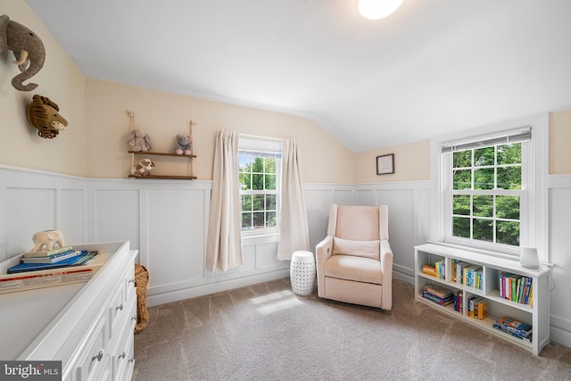 142 Barcladen Rd, Bryn Mawr, PA 19010 - living area featuring a decorative wall, vaulted ceiling, wainscoting, and carpet flooring