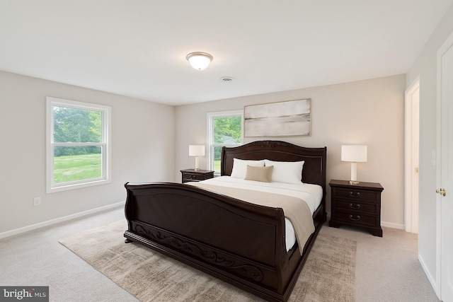 17301 Roundmont Pl, Round Hill, VA 20141 - bedroom featuring baseboards and light carpet