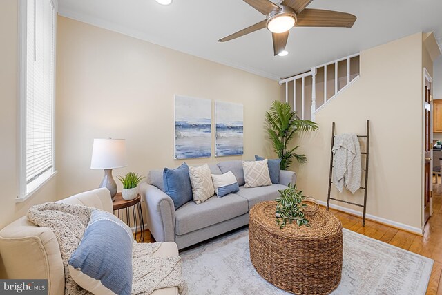 234 E Barney St E, Baltimore, MD 21230 - living room with ceiling fan, wood finished floors, recessed lighting, baseboards, and crown molding