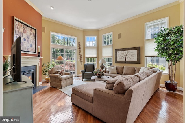 6 Easton Ln, Cinnaminson, NJ 08077 - living area featuring hardwood / wood-style flooring, plenty of natural light, and crown molding