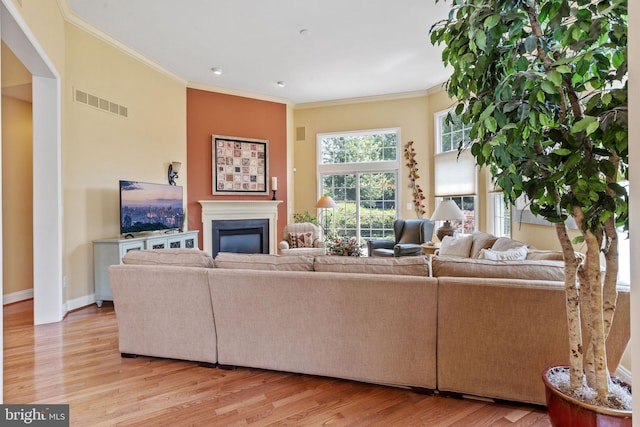 6 Easton Ln, Cinnaminson, NJ 08077 - living room featuring a glass covered fireplace, light wood-type flooring, crown molding, and baseboards