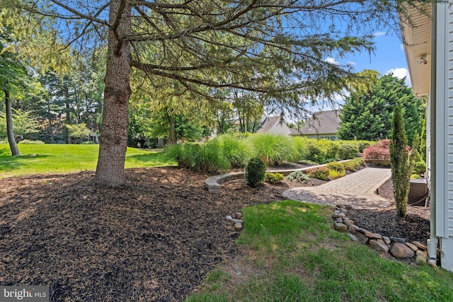 6 Easton Ln, Cinnaminson, NJ 08077 - view of grassy yard