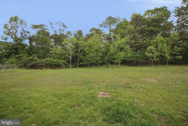 7 E Edgewater Ct, Sicklerville, NJ 08081 - view of grassy yard with a forest view