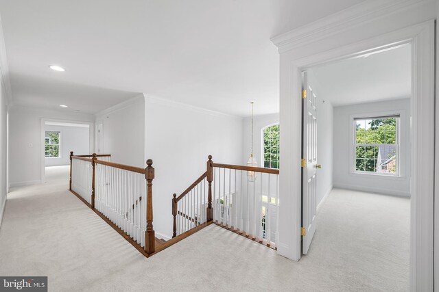 106 Gabrielle Ct Unit 8, Broomall, PA 19008 - hall featuring an upstairs landing, carpet floors, healthy amount of natural light, crown molding, and recessed lighting