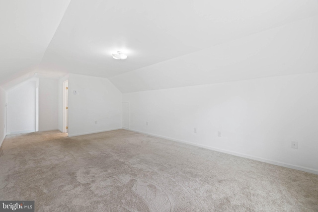 233 Kimble Rd, Berryville, VA 22611 - additional living space featuring carpet floors and lofted ceiling