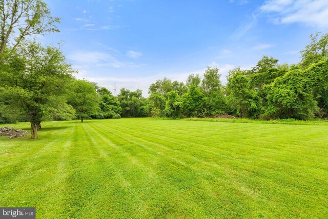 233 Kimble Rd, Berryville, VA 22611 - view of green lawn