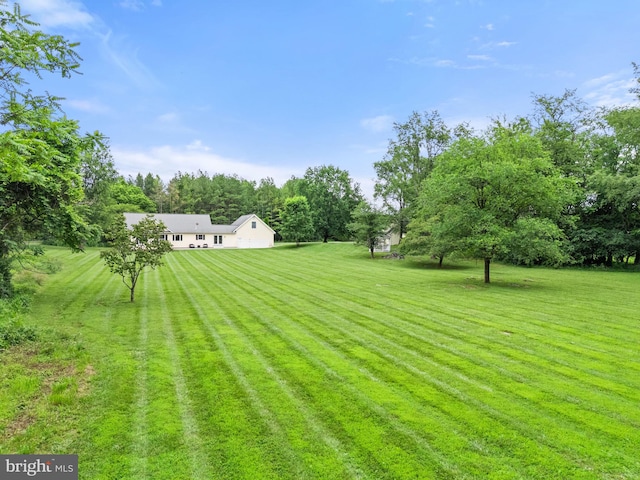 233 Kimble Rd, Berryville, VA 22611 - view of grassy yard featuring view of scattered trees