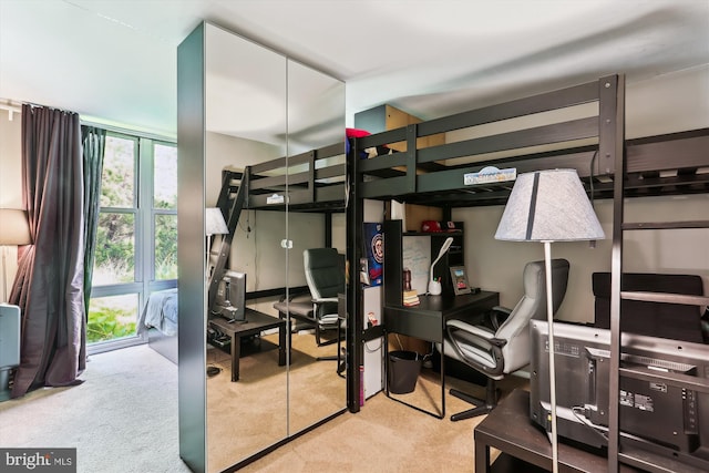 9039 Sligo Creek Pkwy Unit 102, Silver Spring, MD 20901 - bedroom with carpet flooring and an office area