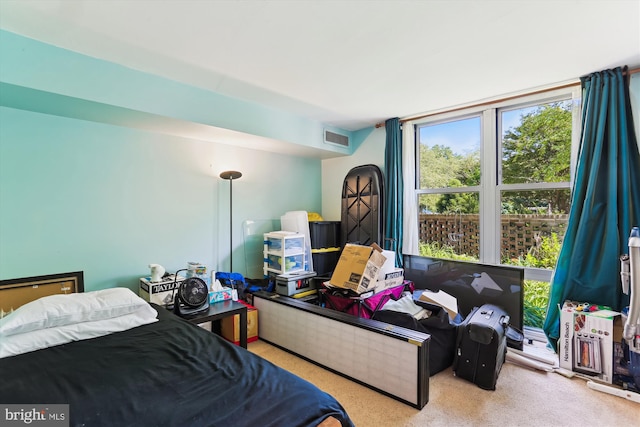 9039 Sligo Creek Pkwy Unit 102, Silver Spring, MD 20901 - view of carpeted bedroom