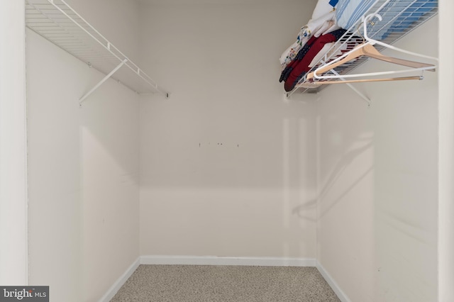 1412 Wigeon Way Unit 204, Gambrills, MD 21054 - view of spacious closet