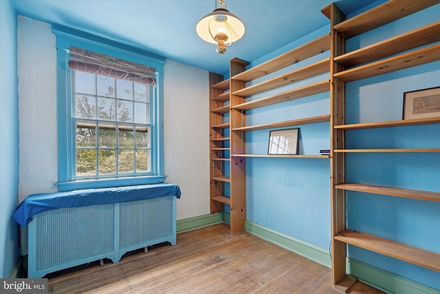 340 W Durham St, Philadelphia, PA 19119 - walk in closet with wood finished floors