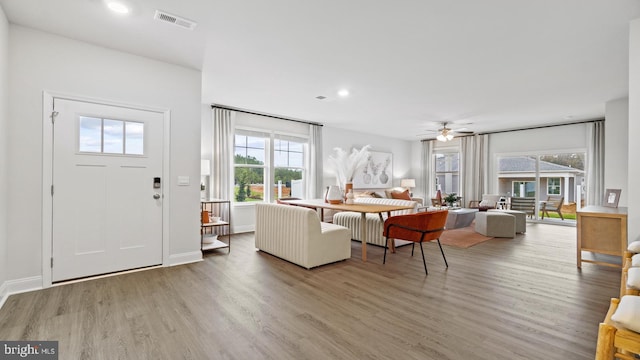 7 Florence Sarah Ln, Lexington City, VA 24450 - living room with plenty of natural light, wood finished floors, ceiling fan, and recessed lighting