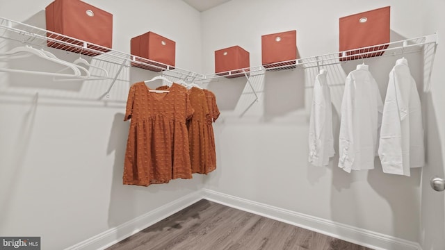 7 Florence Sarah Ln, Lexington City, VA 24450 - walk in closet with wood finished floors