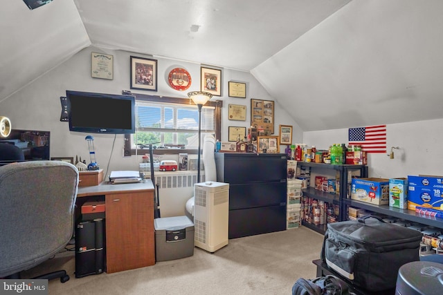 35 Long Loop Rd, Levittown, PA 19056 - home office featuring vaulted ceiling and light carpet