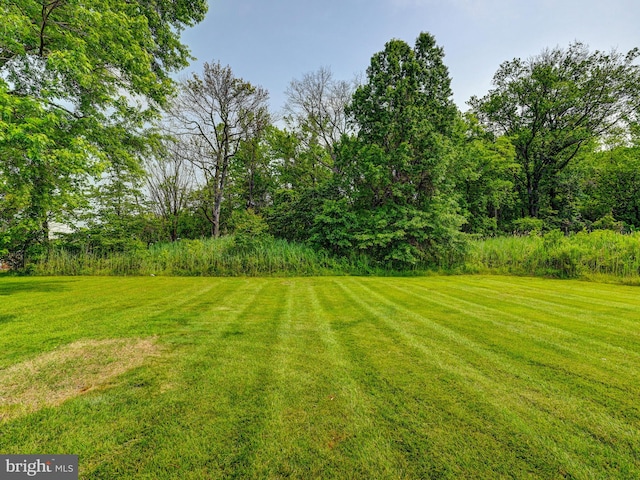 2411 Ruth Ave, Sparrows Point, MD 21219 - view of green lawn