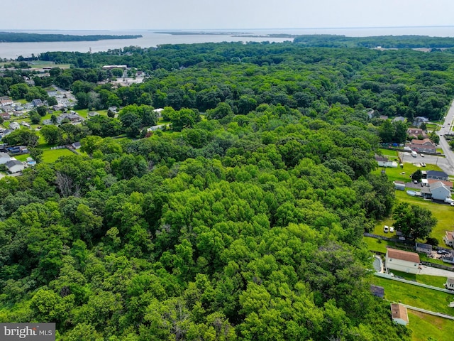 2411 Ruth Ave, Sparrows Point, MD 21219 - bird's eye view of a heavily wooded area and a nearby body of water