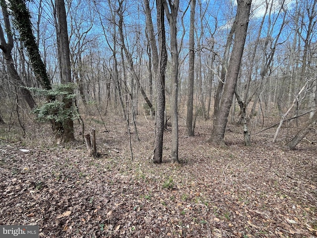 4780 Breezy Point Rd, Chesapeake Beach, MD 20732