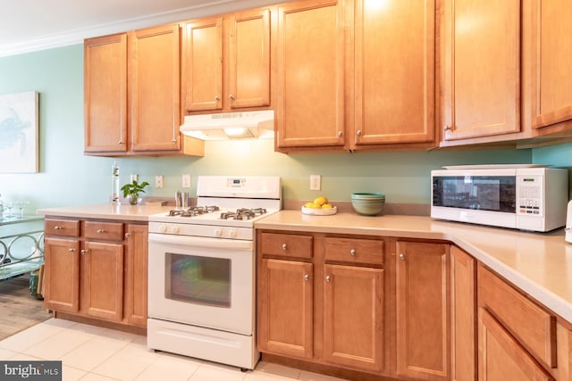 37685T Ulster Dr Unit 17, Rehoboth Beach, DE 19971 - kitchen with white appliances, under cabinet range hood, light countertops, light tile patterned floors, and ornamental molding
