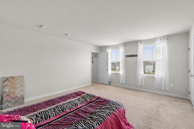 213 Pickett St, Taneytown, MD 21787 - bedroom featuring carpet and baseboards