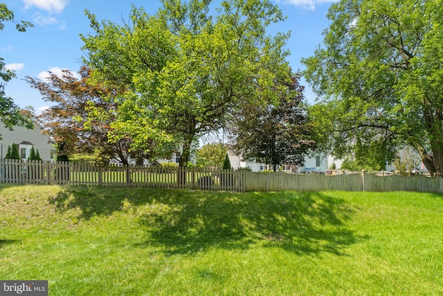 213 Pickett St, Taneytown, MD 21787 - view of yard