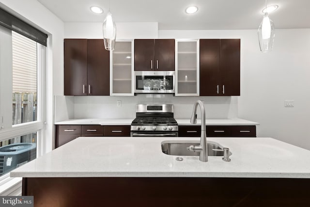 2313 Tulip St, Philadelphia, PA 19125 - kitchen with appliances with stainless steel finishes, dark brown cabinets, modern cabinets, a sink, and glass insert cabinets