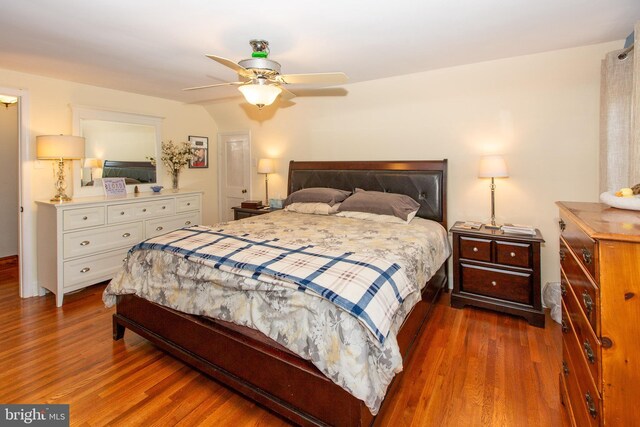 312 E 7th Ave, Trappe, PA 19426 - bedroom featuring wood finished floors and a ceiling fan