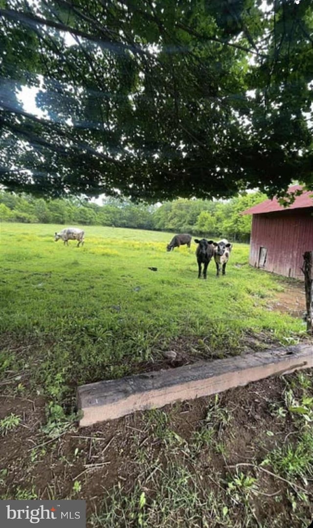 171 Sinking Spring Ln, Gore, VA 22637 - view of green lawn featuring an outbuilding and a view of rural / pastoral area