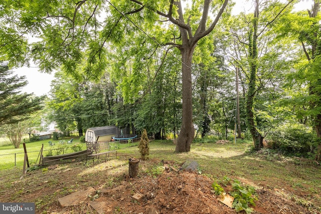 320 Lee St, Front Royal, VA 22630 - view of yard